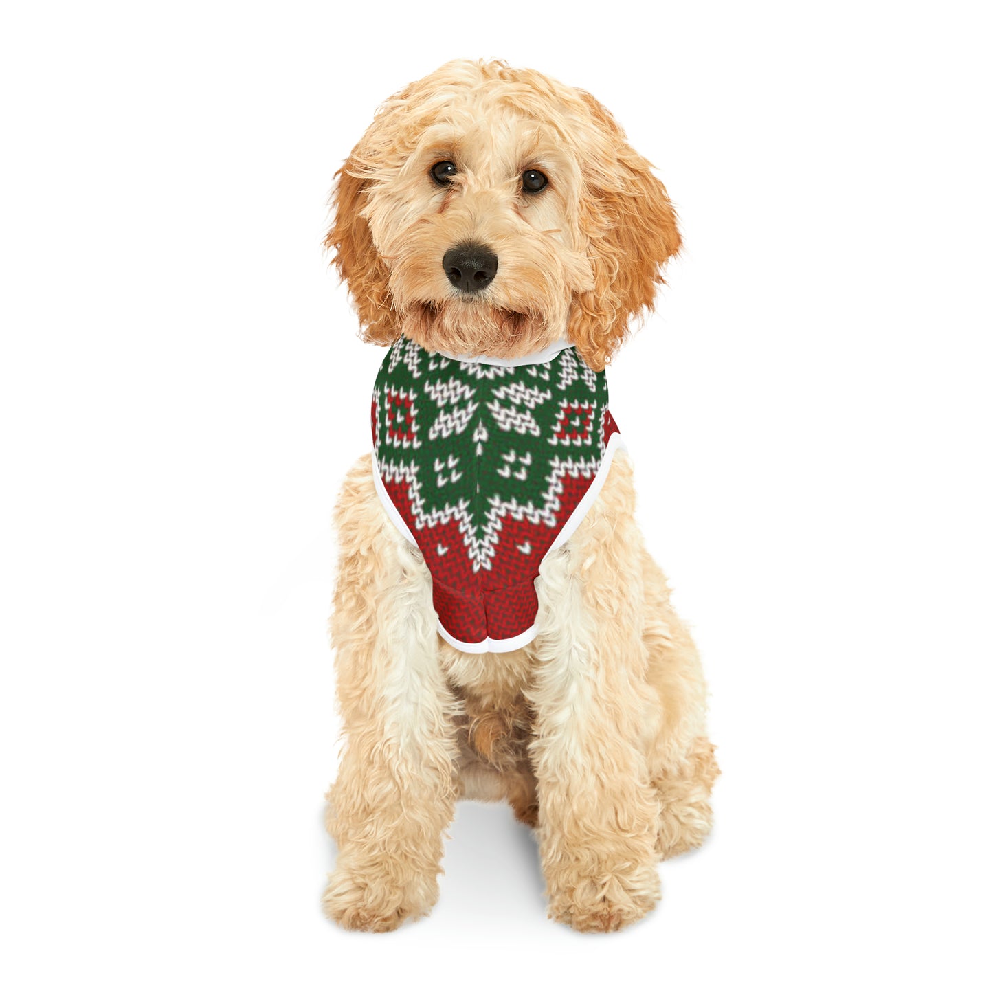 Ruff Christmas Pet Hoodie