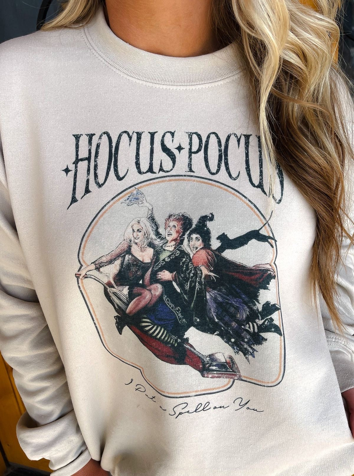 Hocus Pocus Iconic Unisex Heavy Blend Crewneck Sweatshirt