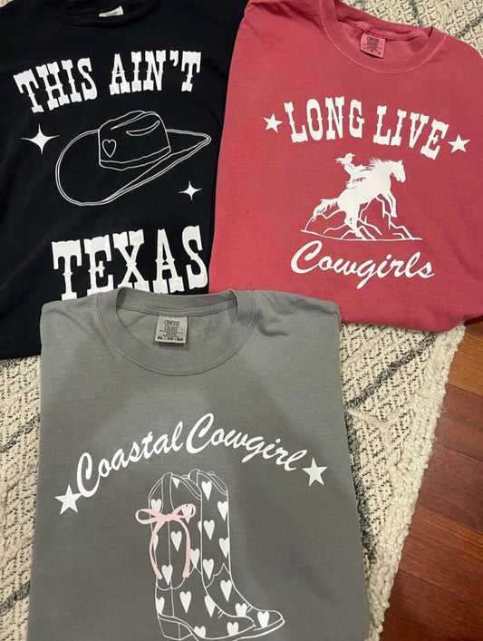 2 For $36 Comfort Color Tees